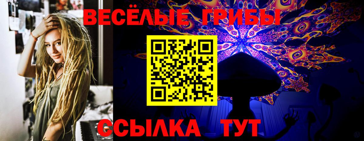 Галлюциногенные грибы GOLDEN TEACHER Ноябрьск